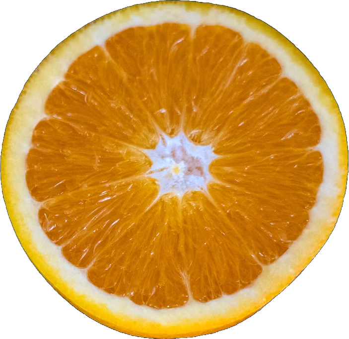 orange-slice