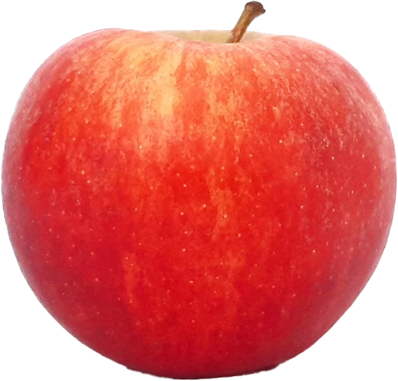 Red Apple download icon png, A fresh and shiny red apple, Red Apple